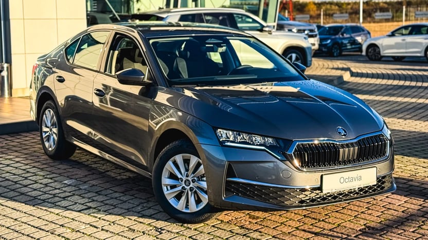 Imaginea unui Octavia Selection 2.0 TDI DSG