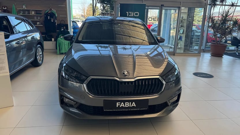 Imaginea unui Fabia Selection 1.0 TSI