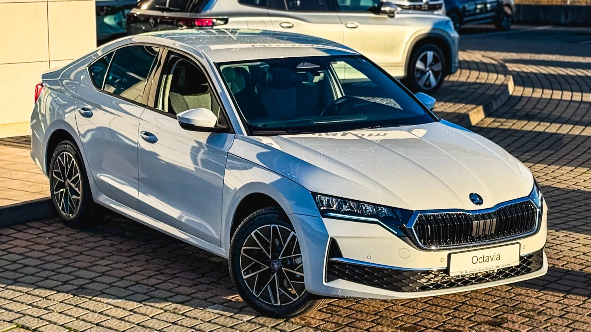 Imaginea unui Octavia Selection 2.0 TDI DSG