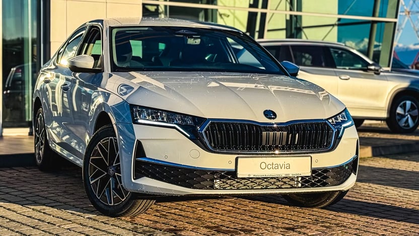 Imaginea unui Octavia Selection 2.0 TDI DSG