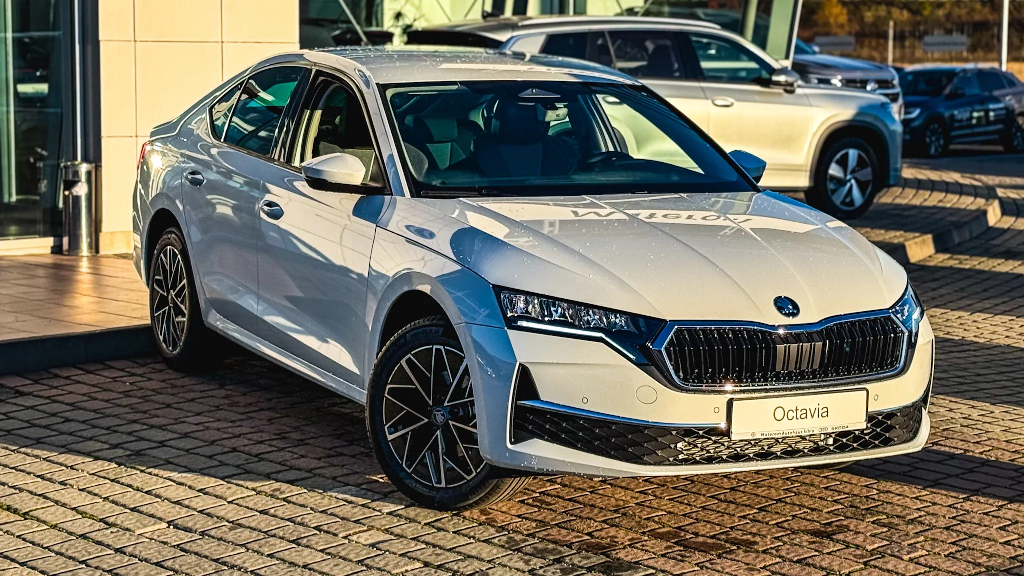 Imaginea unui Octavia Selection 2.0 TDI DSG