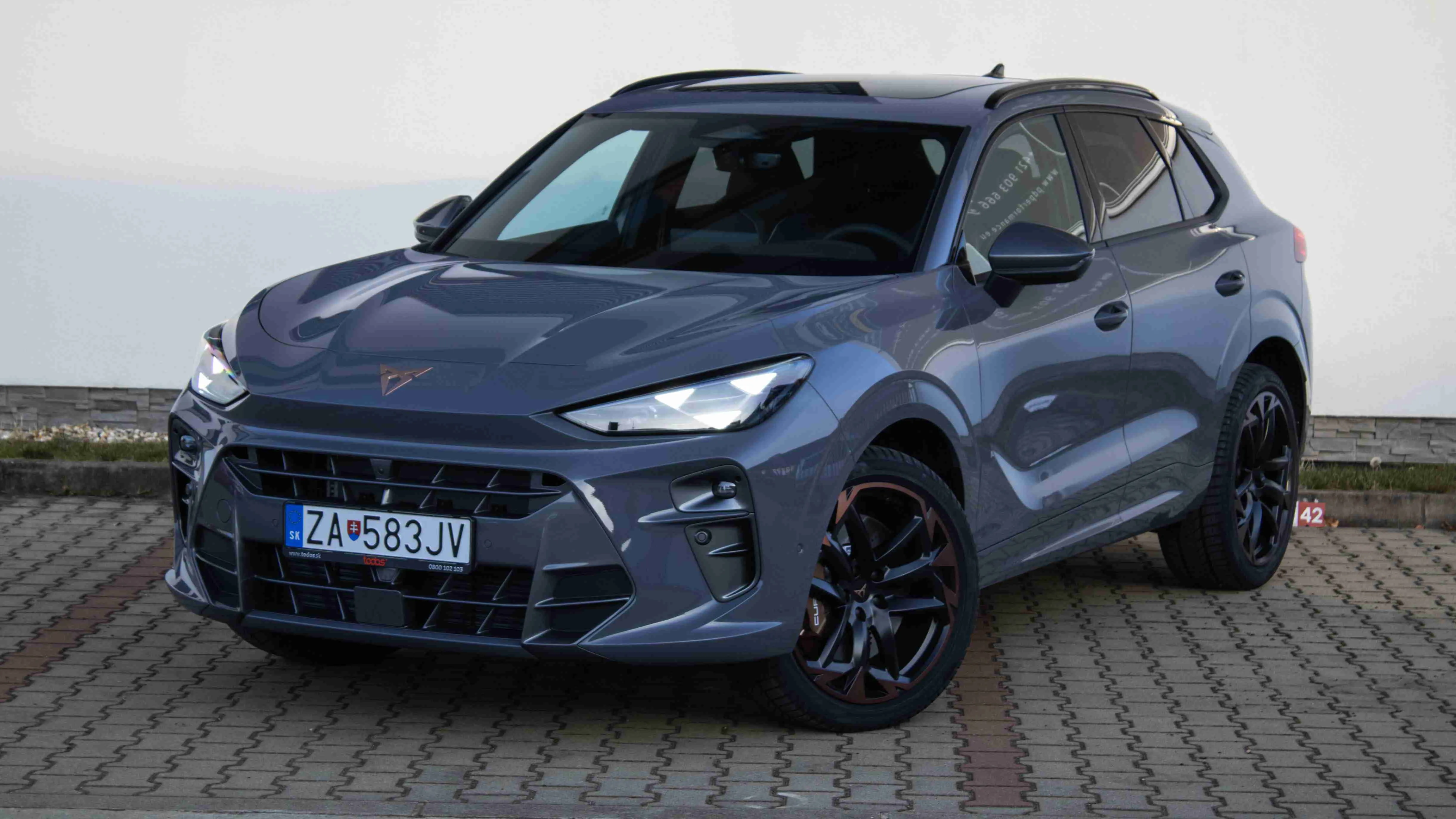 Obrázok CUPRA Terramar VZ 2,0 TSI 265 4D 7DSG