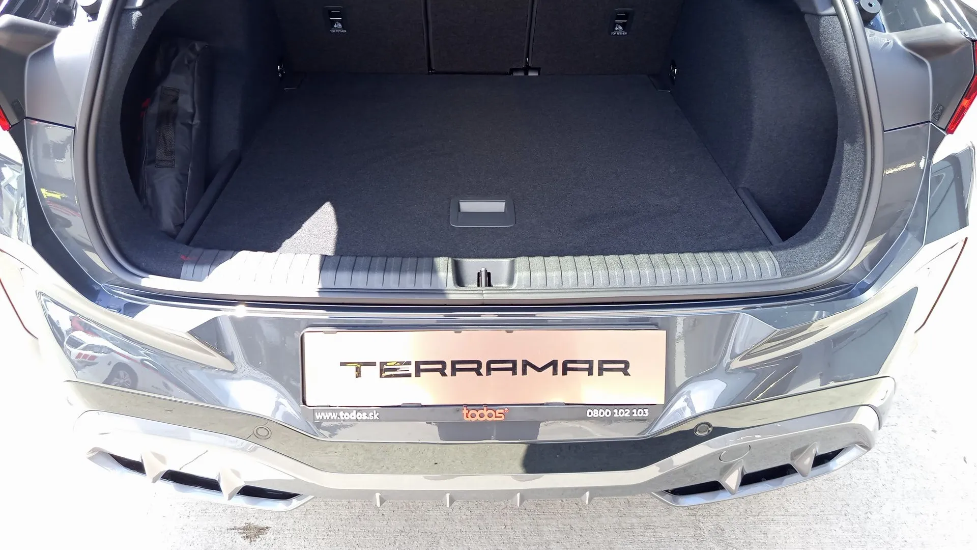 Obrázok CUPRA Terramar 2,0 TSI 204 4D 7DSG