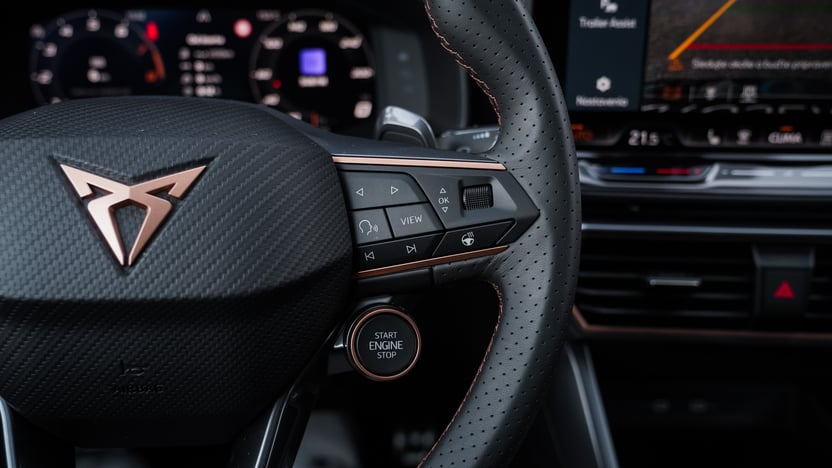 Obrázok CUPRA Formentor 2,0 TSI 204 4D 7-DSG