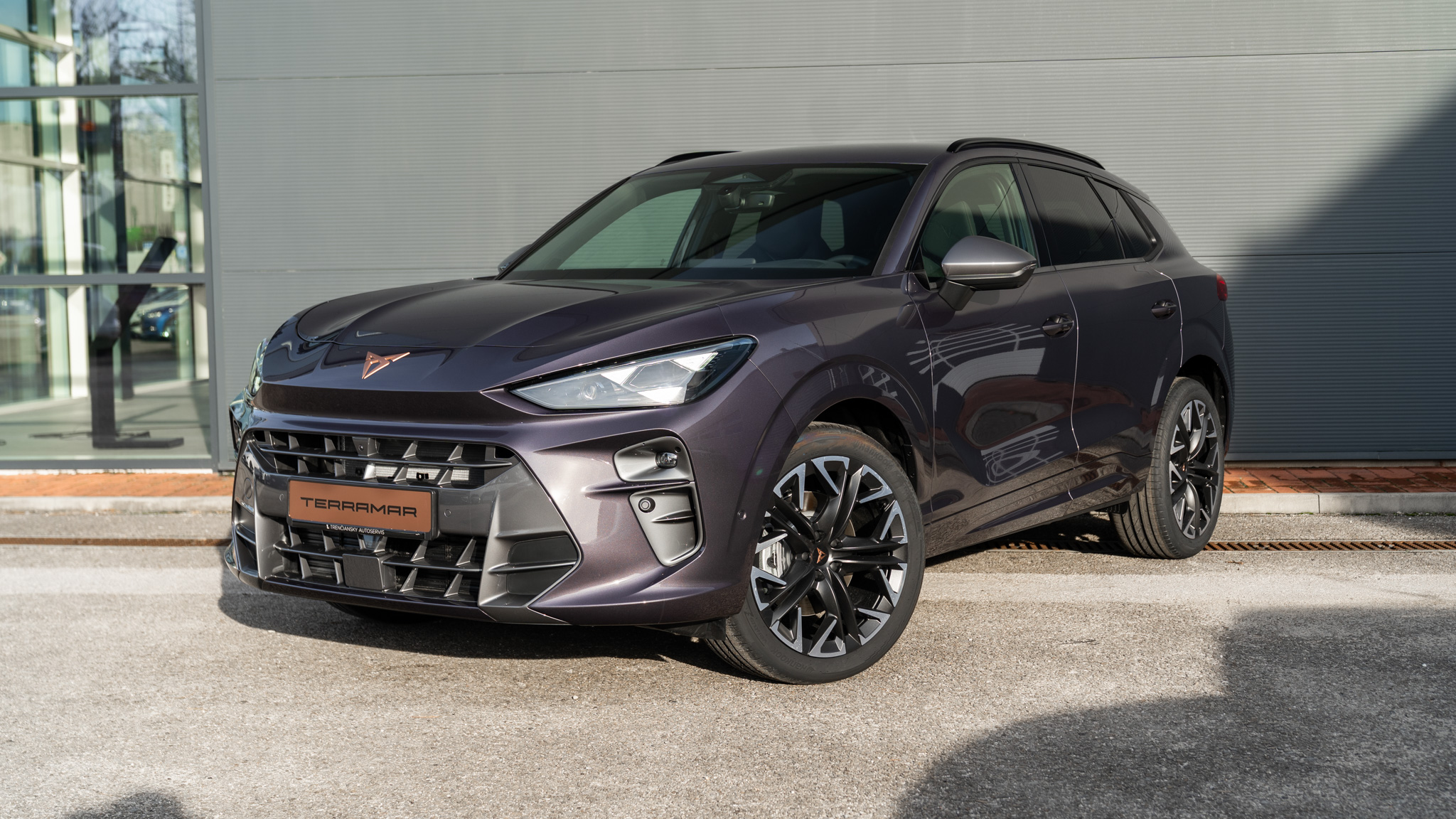 Obrázok CUPRA Terramar 2,0 TSI 204 4D 7DSG