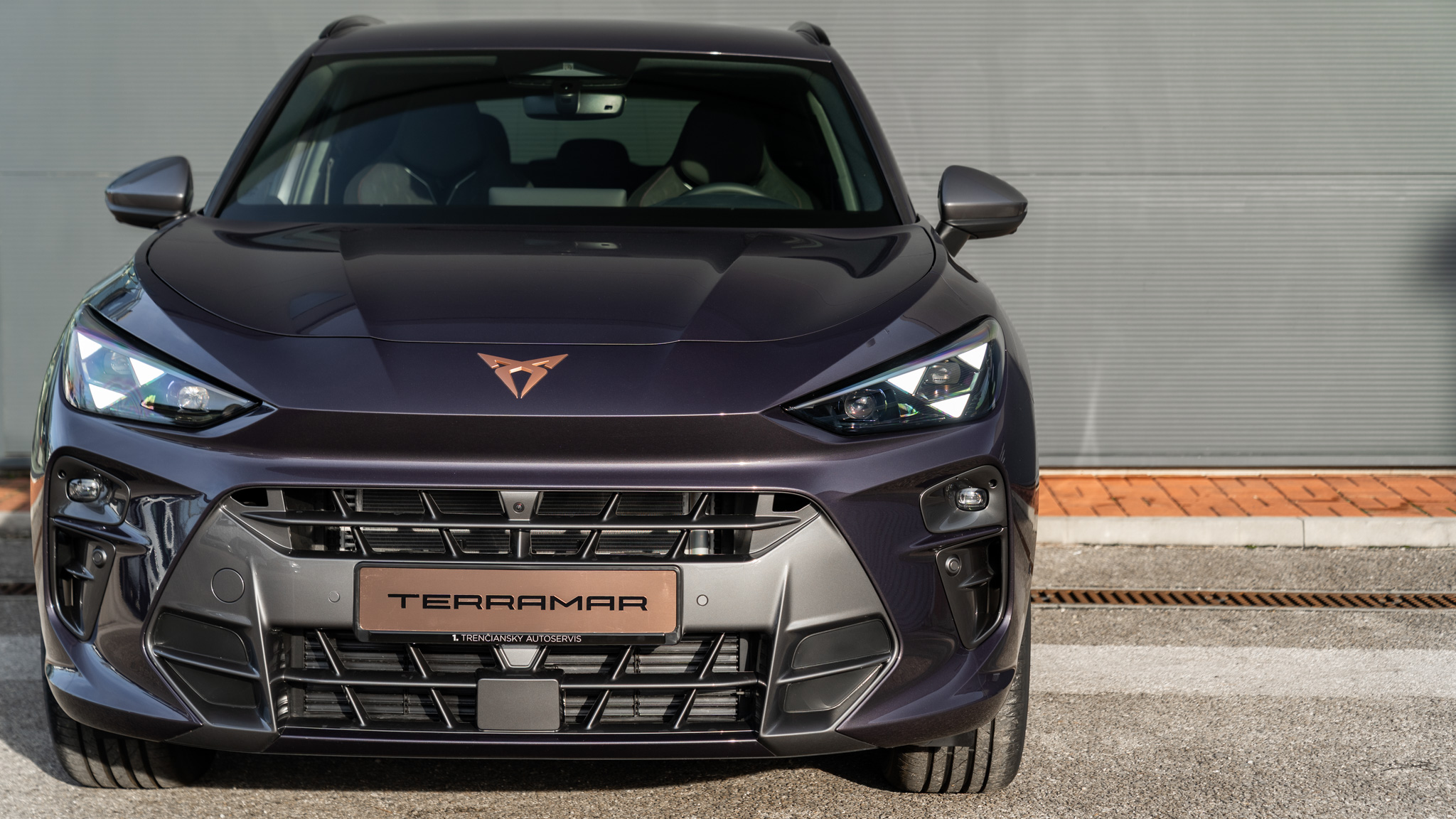 Obrázok CUPRA Terramar 2,0 TSI 204 4D 7DSG