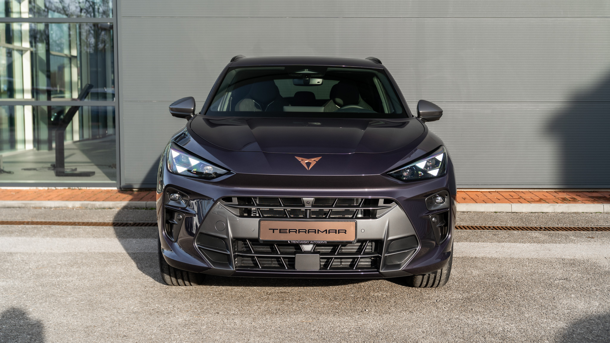 Obrázok CUPRA Terramar 2,0 TSI 204 4D 7DSG