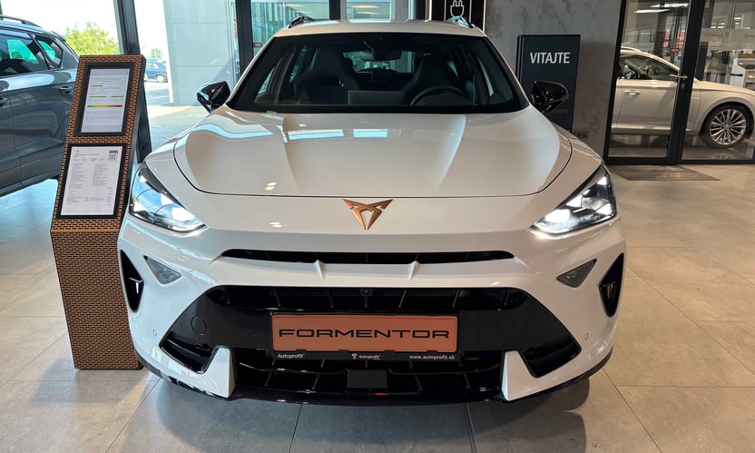 Obrázok CUPRA Formentor 2,0 TSI 204 4D 7-DSG