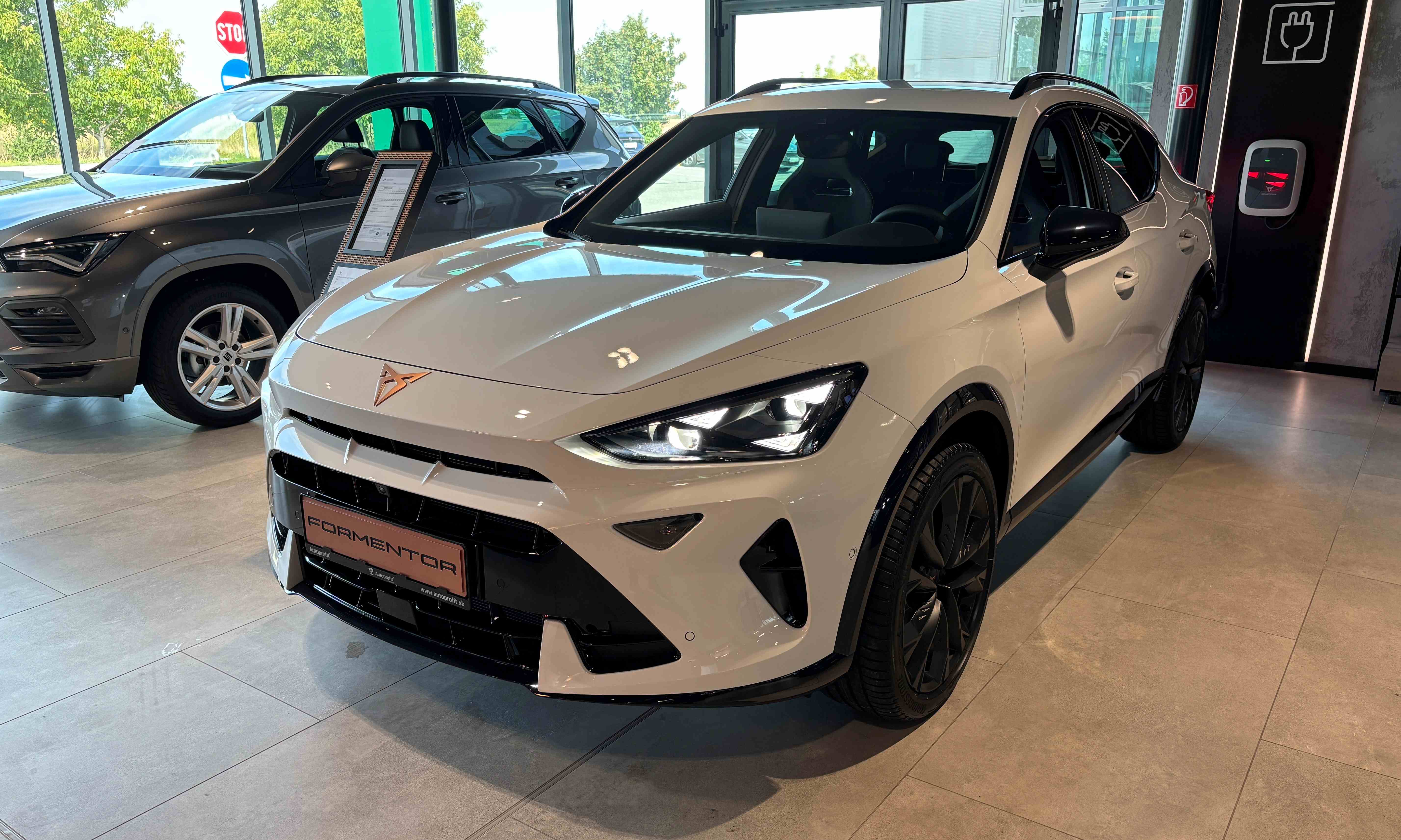 Obrázok CUPRA Formentor 2,0 TSI 204 4D 7-DSG