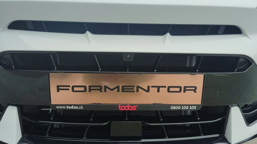 Obrázok CUPRA Formentor 2,0 TSI 204 4D 7-DSG