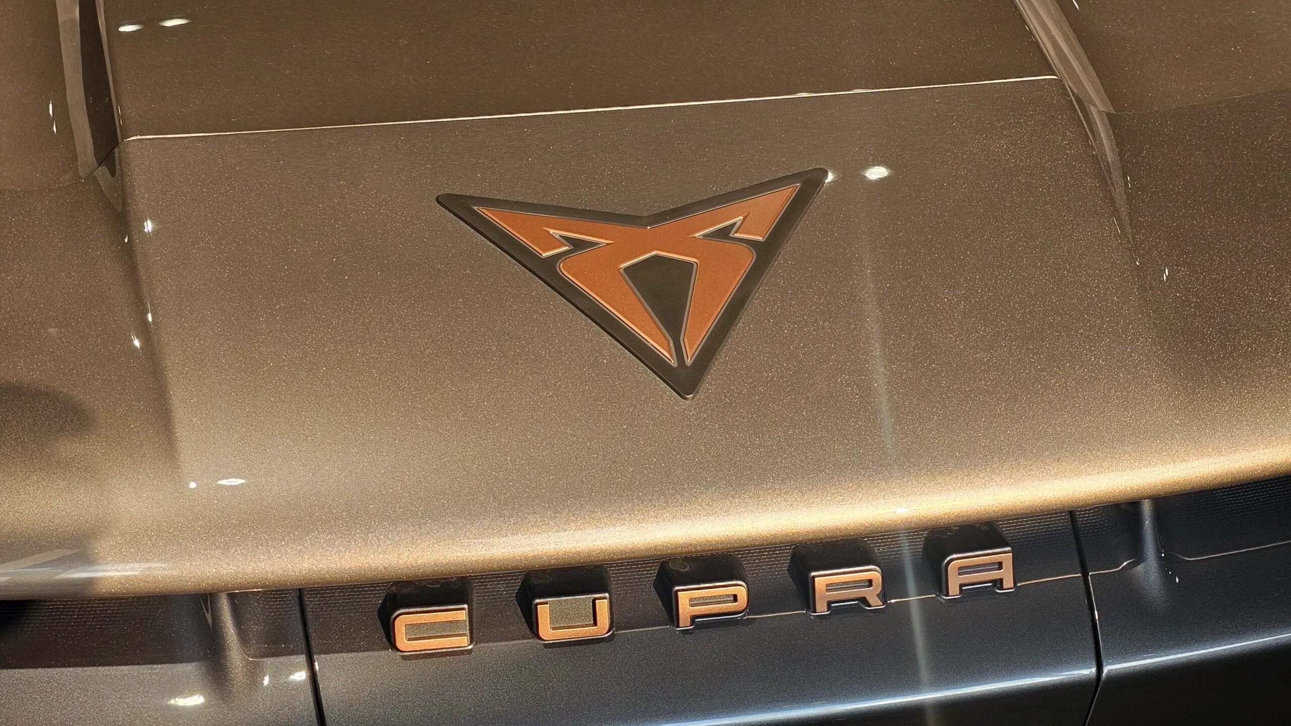 Obrázok CUPRA Tavascan 286/82 ENDURANCE