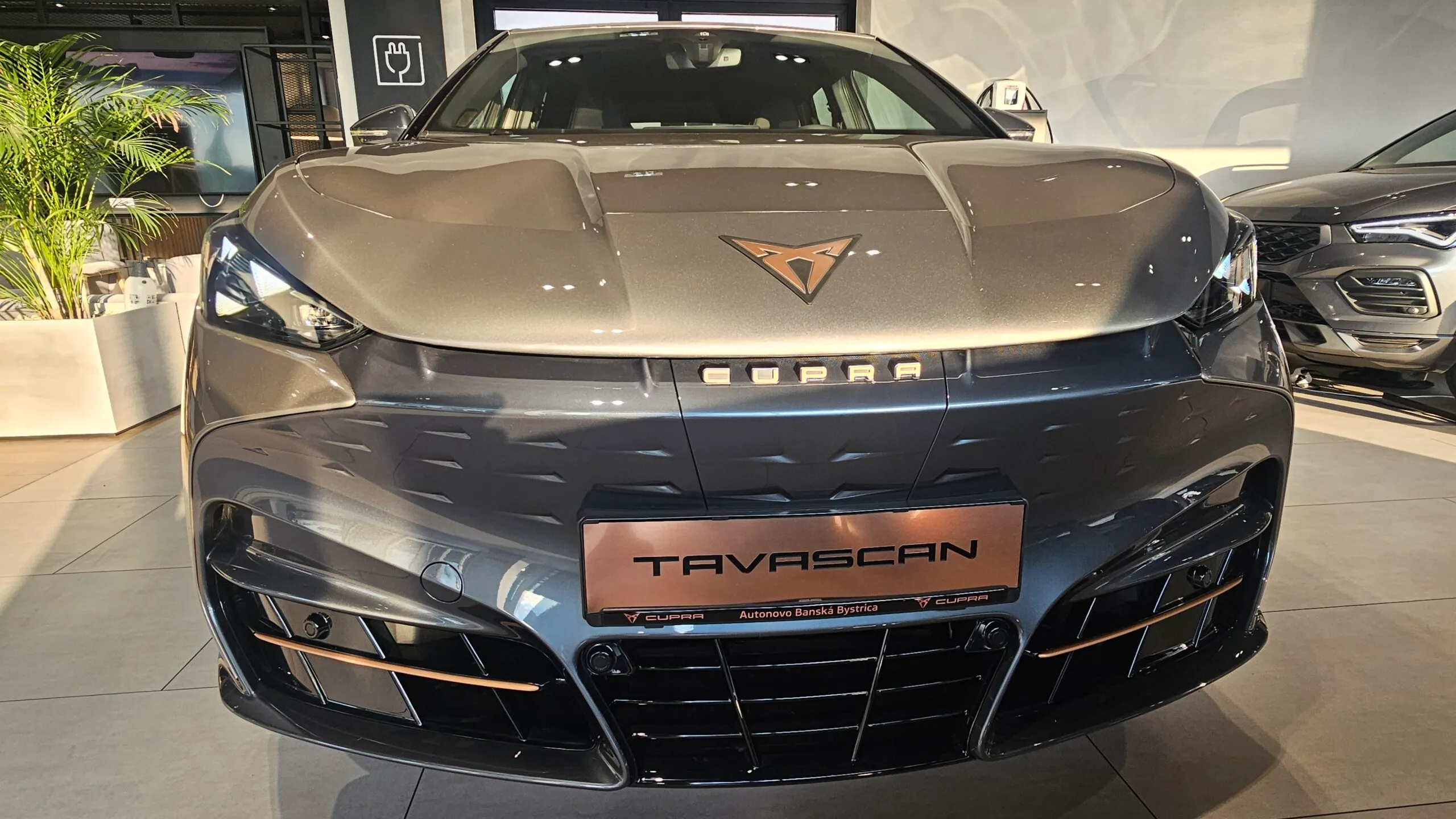 Obrázok CUPRA Tavascan 286/82 ENDURANCE