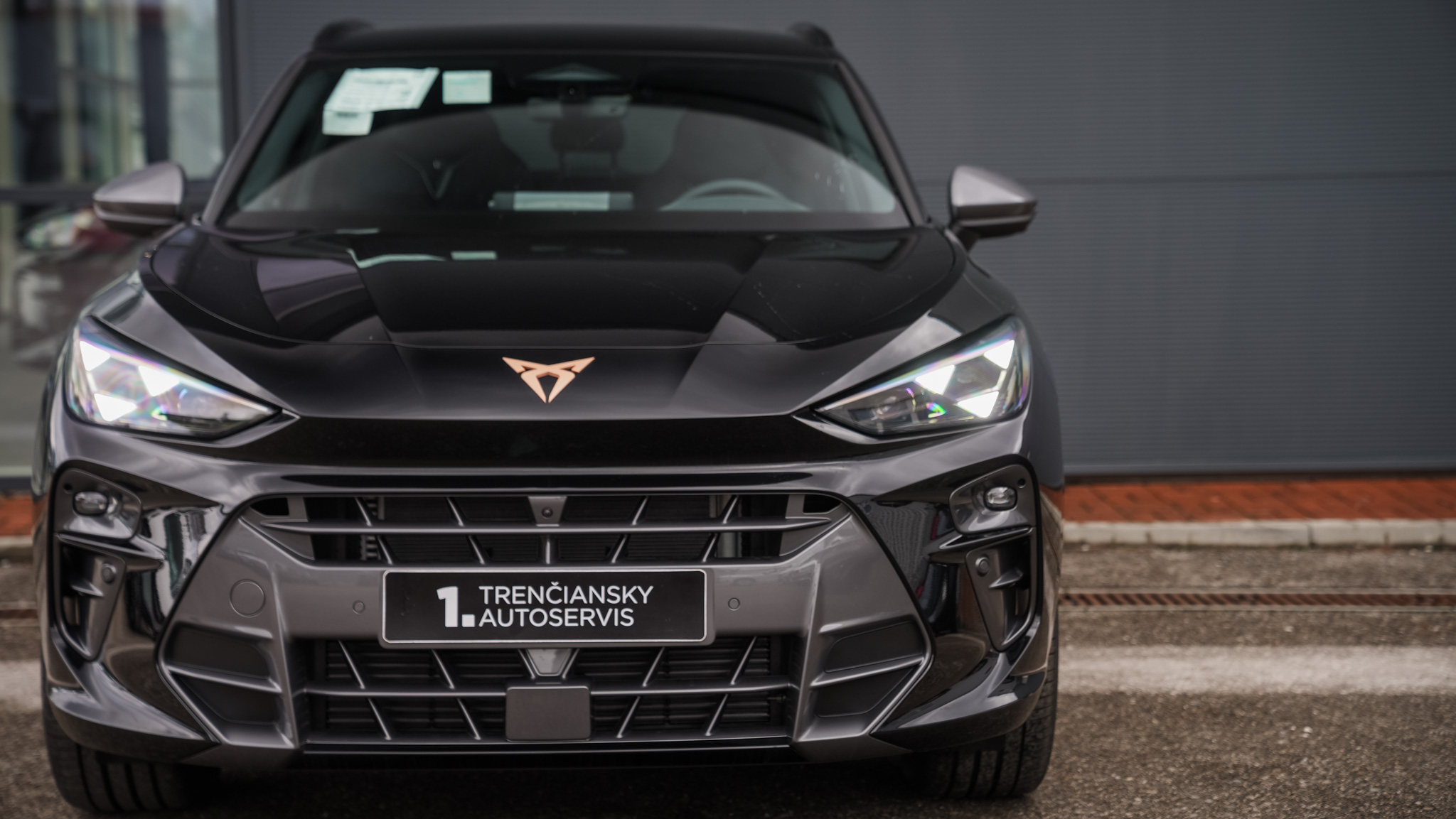 Obrázok CUPRA Terramar 2,0 TSI 204 4D 7DSG