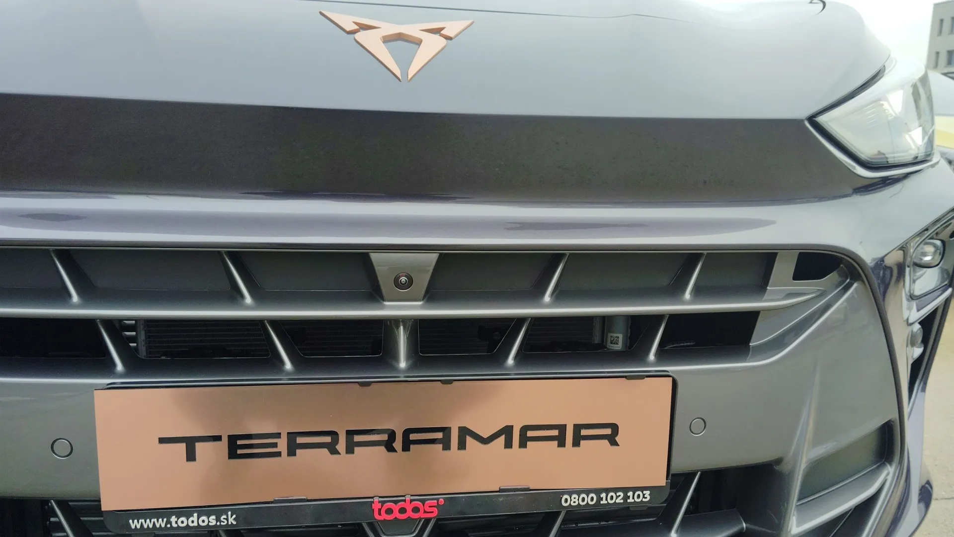 Obrázok CUPRA Terramar 2,0 TSI 204 4D 7DSG