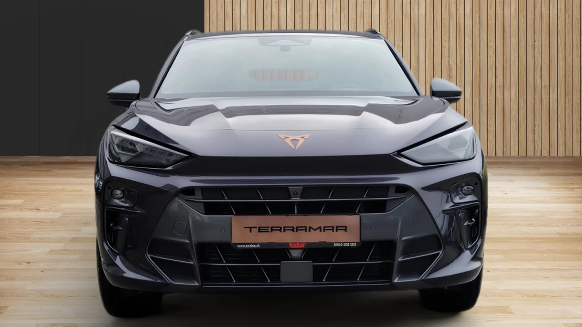 Obrázok CUPRA Terramar 2,0 TSI 204 4D 7DSG