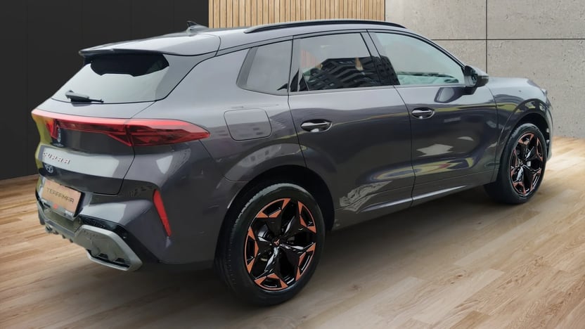 Obrázok CUPRA Terramar 2,0 TSI 204 4D 7DSG