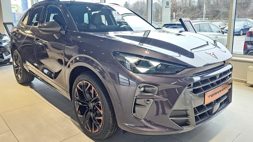 Obrázok CUPRA Terramar 2,0 TSI 204 4D 7DSG