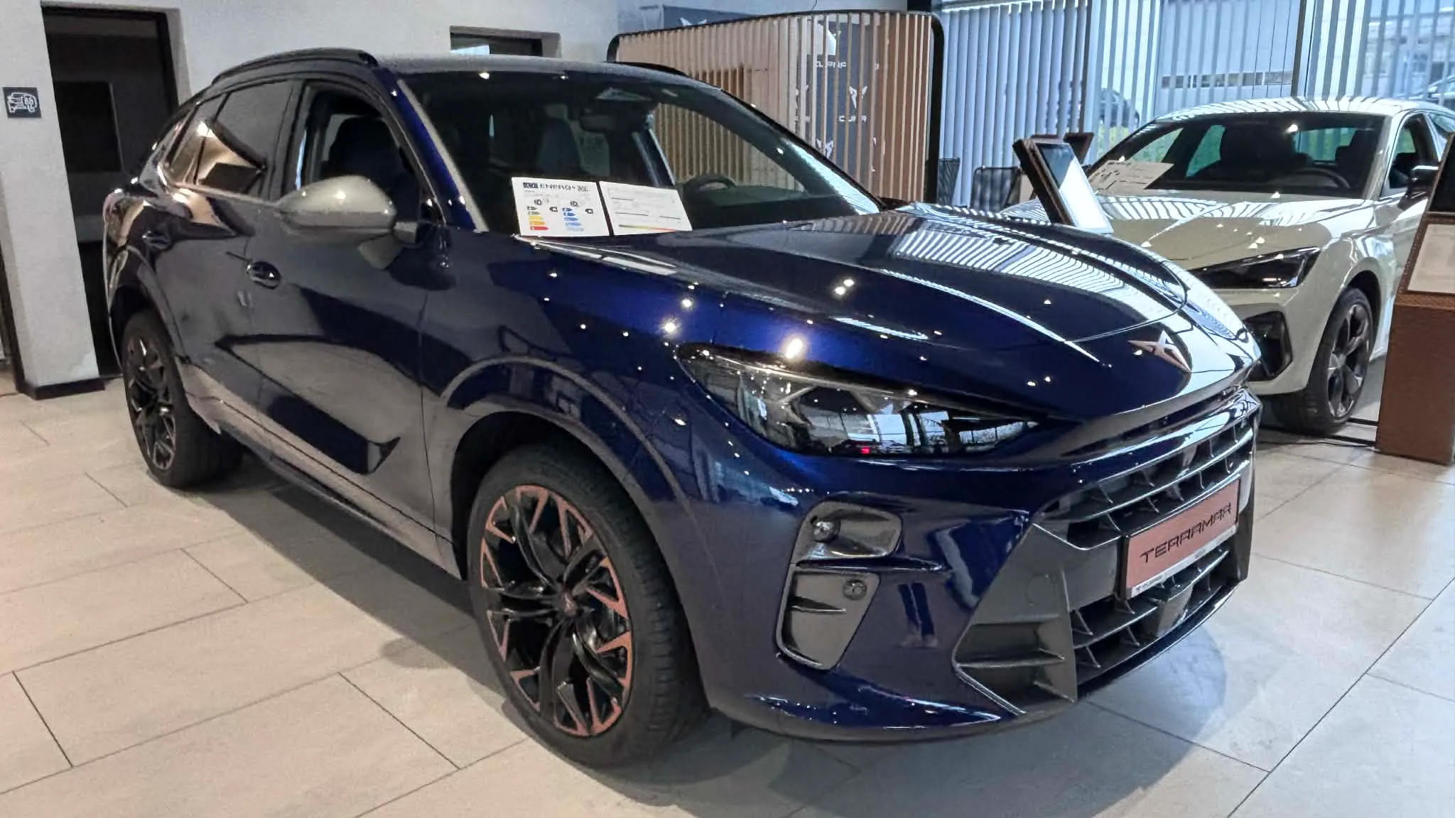 Obrázok CUPRA Terramar 2,0 TSI 204 4D 7DSG