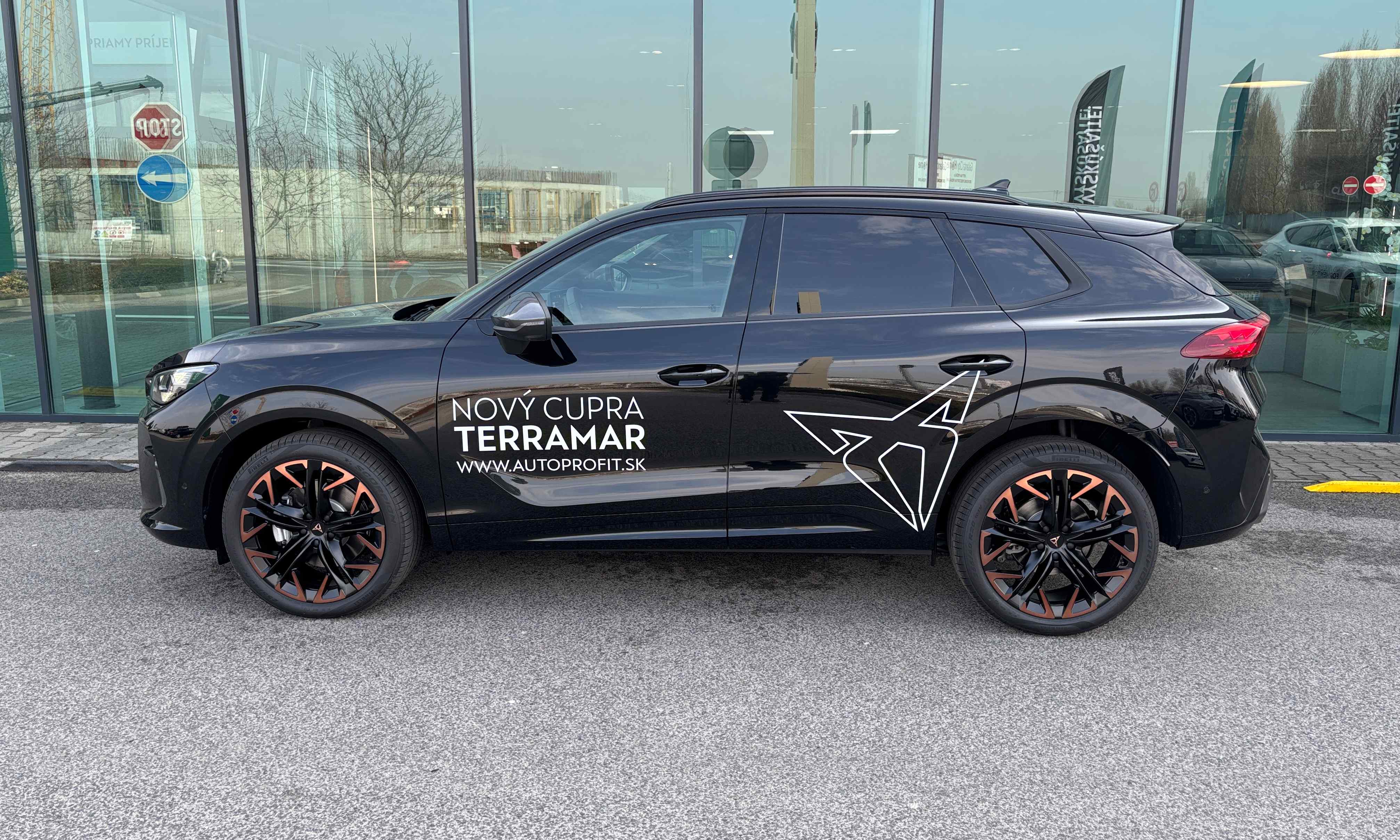 Obrázok CUPRA Terramar 2,0 TSI 204 4D 7DSG