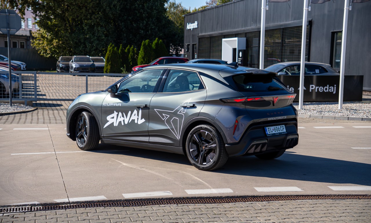 Obrázok CUPRA RAVAL ENDURANCE 210/55