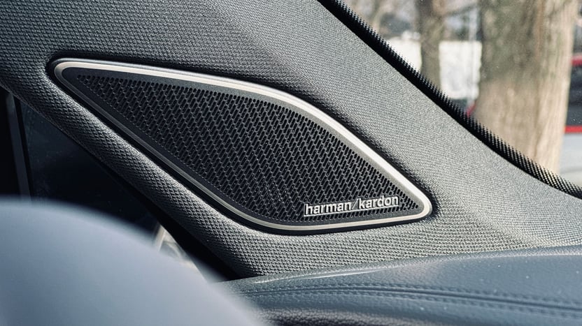 Зображення Новий Tayron R-Line Platinum 2.0 TSI 4M